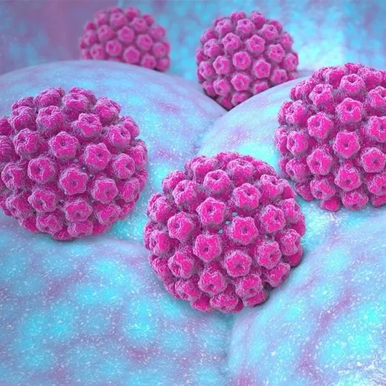 Human Papillomavirus HPV Infection
